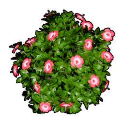 Faux Flowering Bush A icon