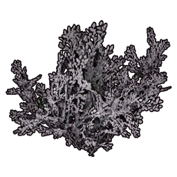 Faux White Bush icon