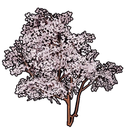 Faux Cherry Blossoms Set icon