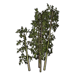 Faux Bamboo B icon