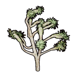 Faux Desert Greenery B icon