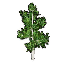 Faux Greenery B icon