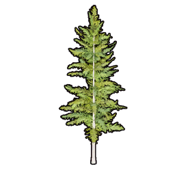 Faux Greenery C icon