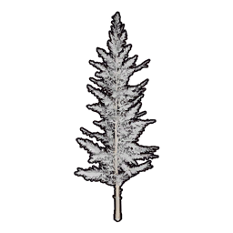 Faux Snowy Greenery C icon