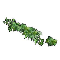 Horizontal Wall Ivy icon