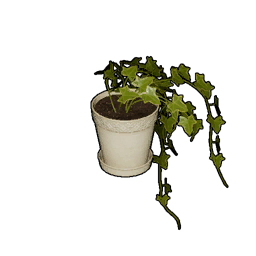盆栽观赏植物 建筑图片