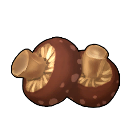 Baked Mushroom Recipe icon