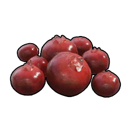 Red Berries item icon