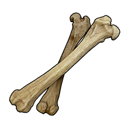 Bone icon