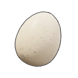 Egg icon