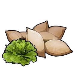 Lettuce Seeds icon