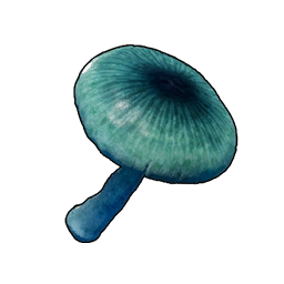 Mysterious Mushroom icon