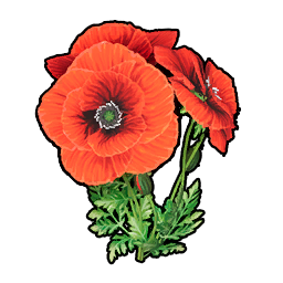 Beautiful Flower icon