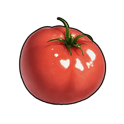Tomato icon