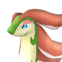 Broncherry Pal icon