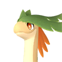 Braloha Pal icon